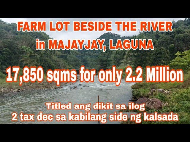 (P# 507) 17,850 sqms Farm Lot beside the River @ 124/sqm only in Majayjay, Laguna for Sale