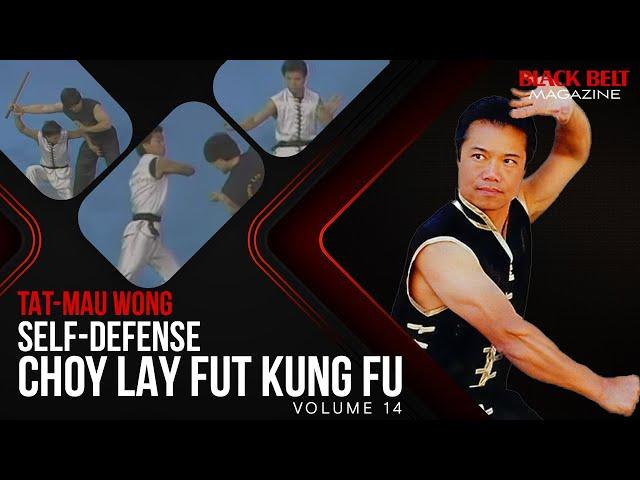 Choy Lay Fut Kung Fu (Vol 14) - Self-Defense with Tat-Mau Wong | Black Belt Magazine