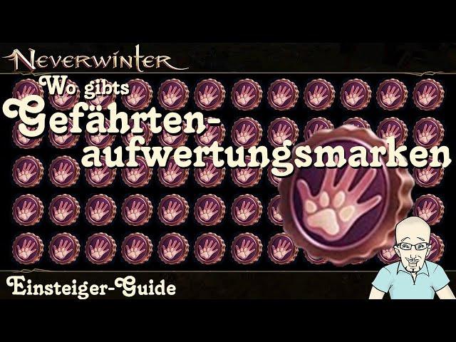 NEVERWINTER Gefährtenaufwertung: Woher bekomme ich Gefährtenaufwertungsmarken? - MOD30 - PS5 deutsch