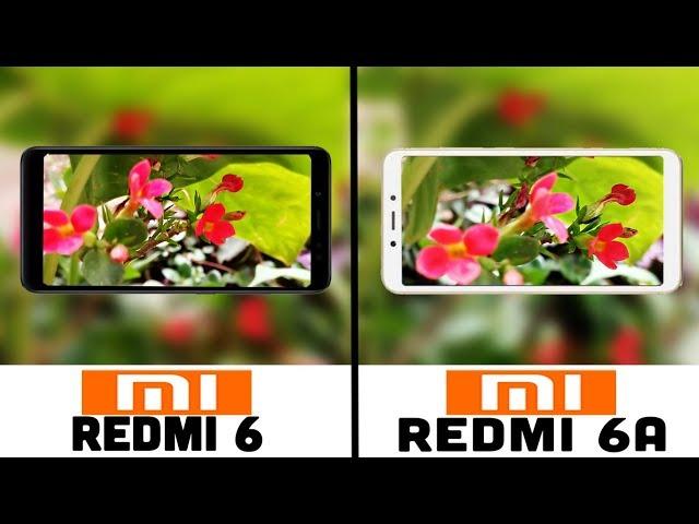 Redmi 6 vs Redmi 6A Camera Test