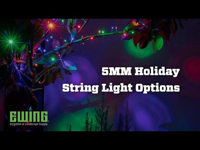 5MM Holiday String Light Options