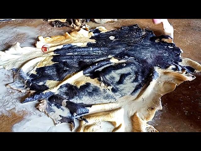 The Process Of Making Raw Leather From Animal Hides