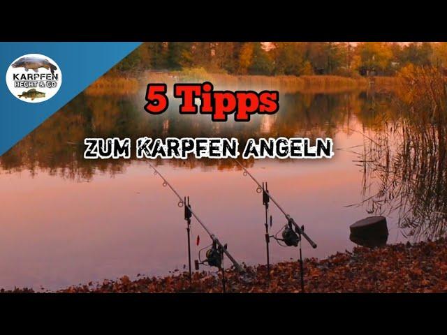 5 Tipps zum Karpfen angeln für Anfänger - Karpfenangeln November