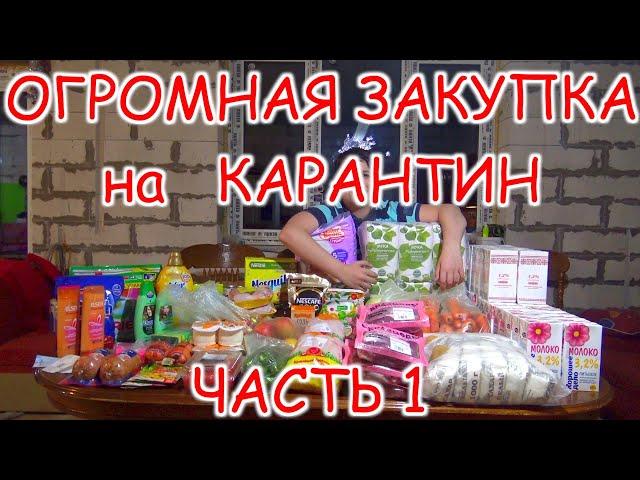 МЕГА ЗАКУПКА ПРОДУКТОВ // ДЕЛАЕМ ЗАПАСЫ НА КАРАНТИН часть 1