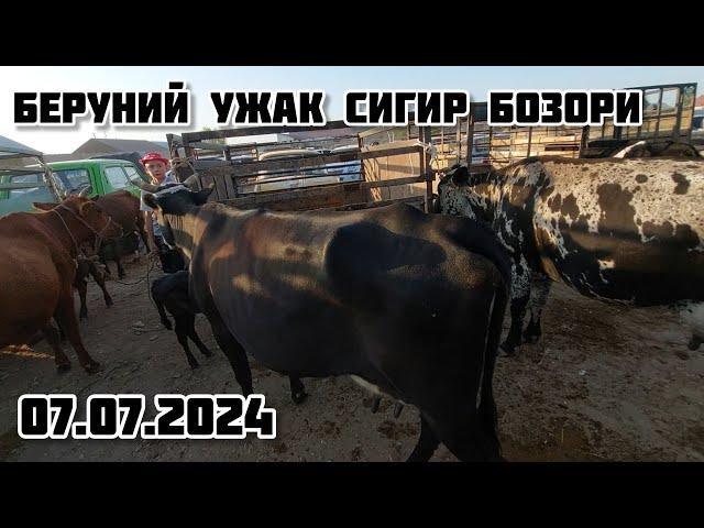 БЕРУНИЙ УЖАК СИГИР БОЗОРИ 2 КИСМ 07.07.2024