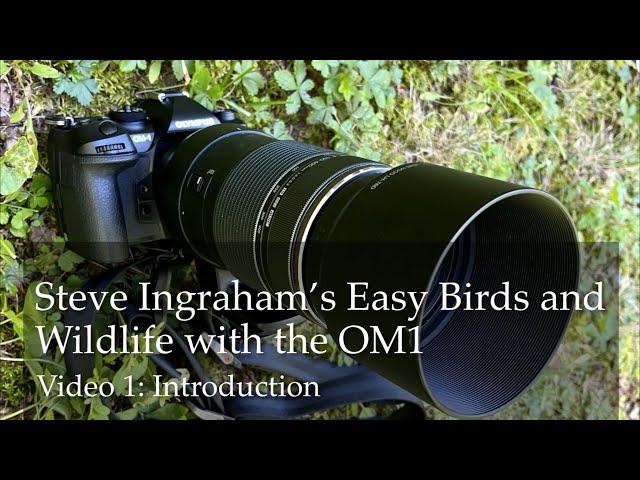 Steve Ingraham’s Easy Birds and Wildlife with the OM Systems OM-1: Introduction