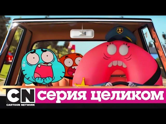 Гамбола | Закон + Аллергия (серия целиком) | Cartoon Network