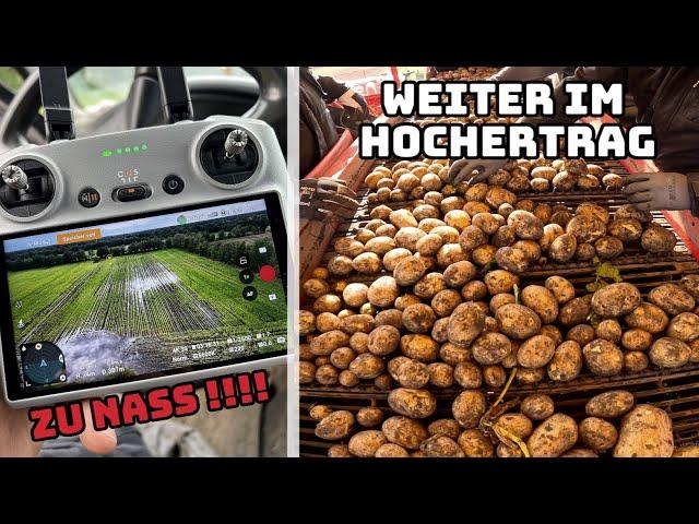 Totalausfall im Mais ? | Es geht weiter in den Kartoffeln | Farmvlog #135