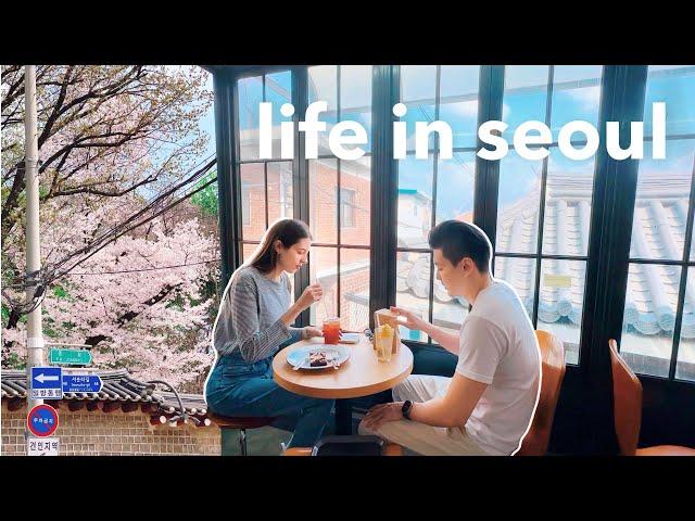 korea vlog  spring in 'traditional seoul' old neighborhoods, cherry blossoms, sights & cafes