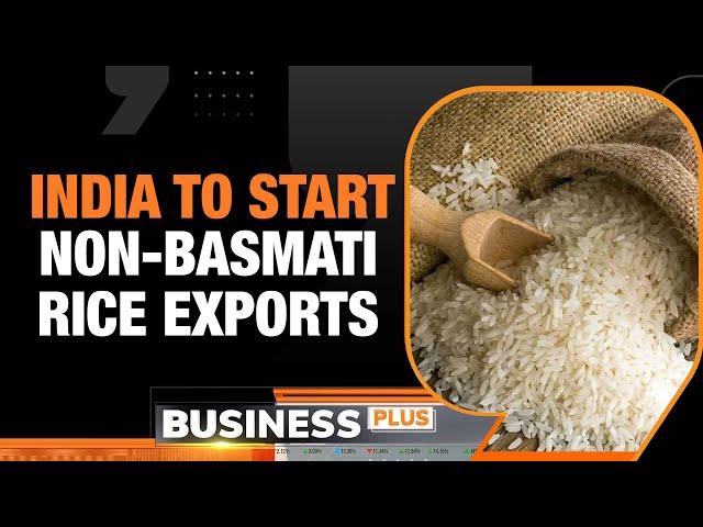 India Rice Export Ban News: Govt Allows 75k Tonnes of Non-Basmati Rice Export to UAE | Business Plus