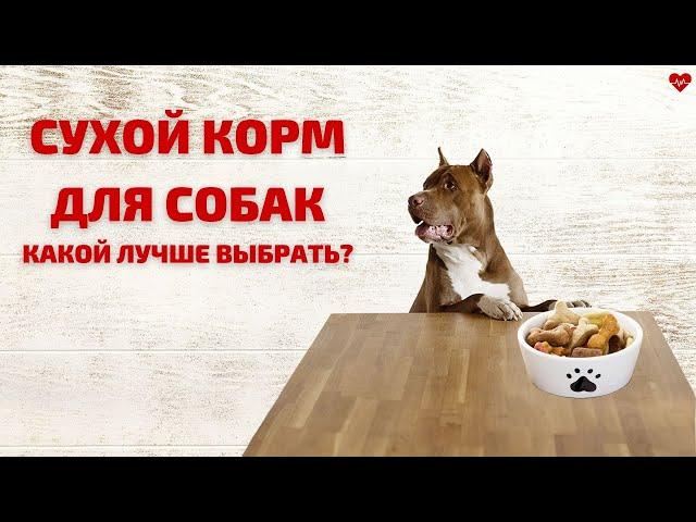 СУХОЙ КОРМ ДЛЯ СОБАК. КАКОЙ ЛУЧШЕ ВЫБРАТЬ?