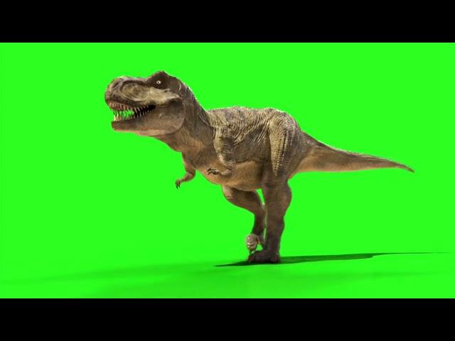 Green screen Dinosaur effect