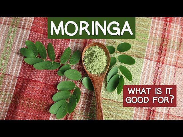 Miraculous Moringa Superfood - List of Key Attributes