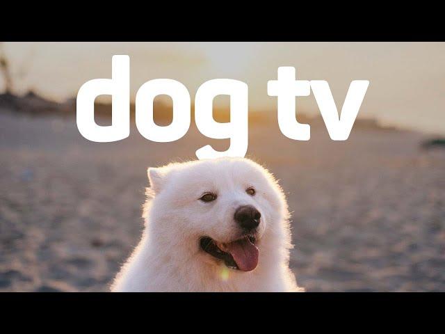 Dog TV - Exciting Adventure Video for Dogs (Petflix)