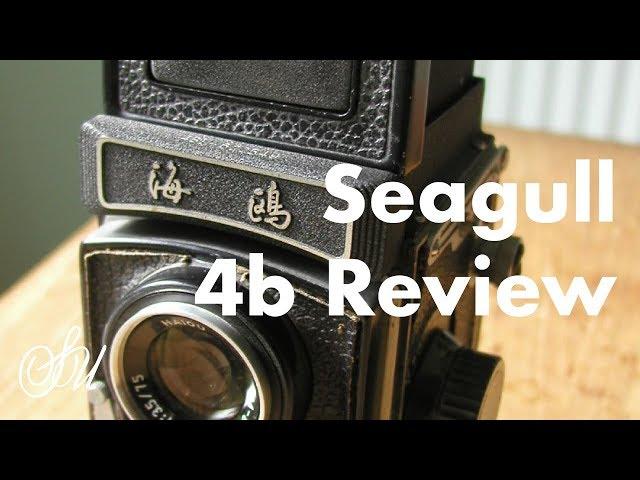 Seagull 4B Review