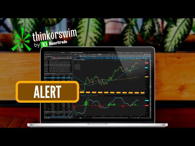 How to Set Up Price Alerts in Thinkorswim