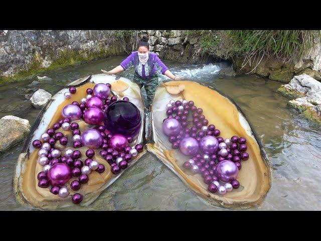 Giant clams hiding under the mud and sand, nurturing charming precious purple pearls, so beautiful