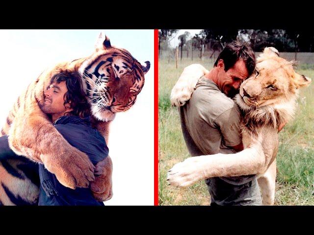 9 EXAMPLES OF EXTRAORDINARY FRIENDSHIP BETWEEN MAN AND ANIMAL