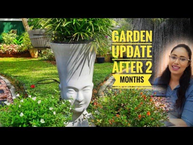 A New Garden Update After 2 Months || How To Make A Beautiful Garden || Beautiful Gardens In 2021