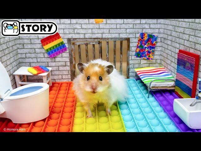  Hamster Escapes the Pop It Maze  Homura Ham Pets