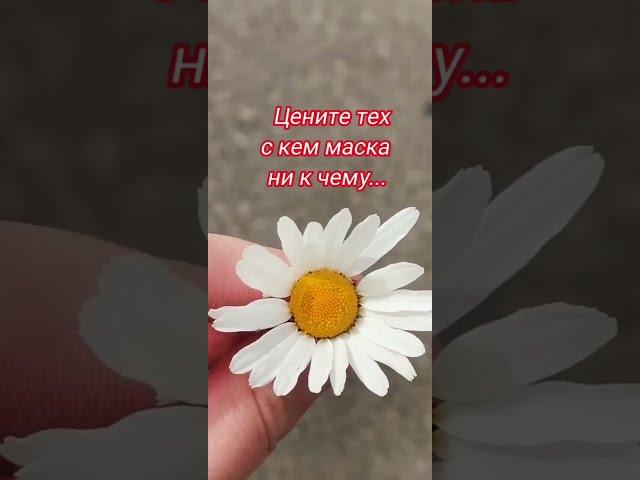 ЦЕНИТЕ ТЕХ С КЕМ МАСКА НИ К ЧЕМУ