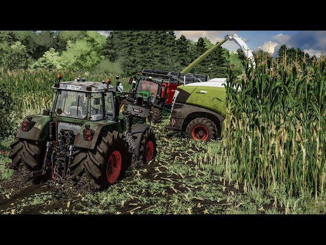 Maize silage harvest in EXTREME MUD ! Every tractor get stuck | Farming Simulator 22