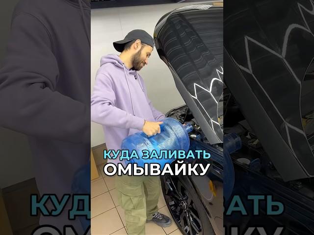 Куда заливать омывайку для стекол? #вд сервис #автосервис #vdservice #техцентр #детейлинг #то