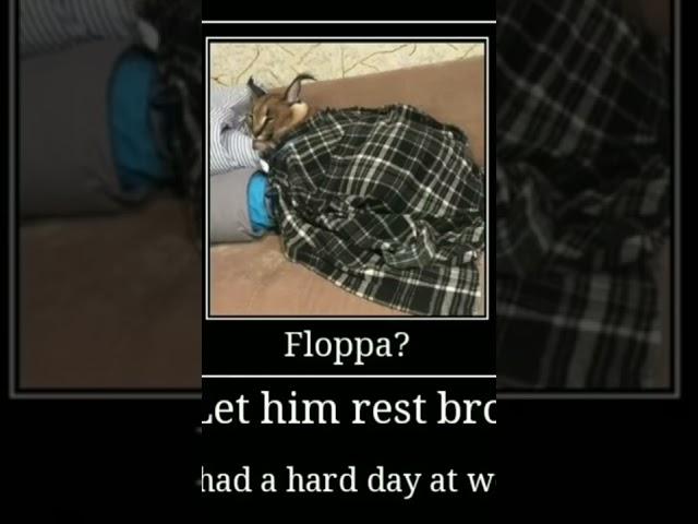 Floppa?