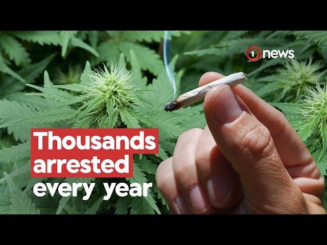 Kiwis in prison for pot possession cost taxpayers $1.3m | 1News on TVNZ+