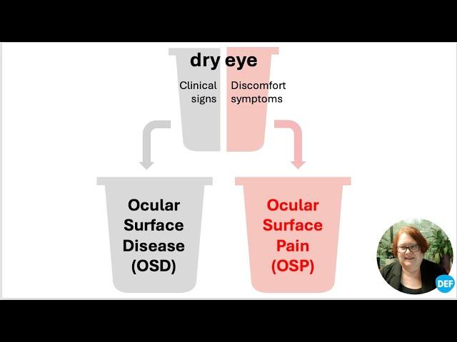 20 Years of DED - Part 2: Ocular Surface Disease & Ocular Surface Pain - A Patient-Centered Approach