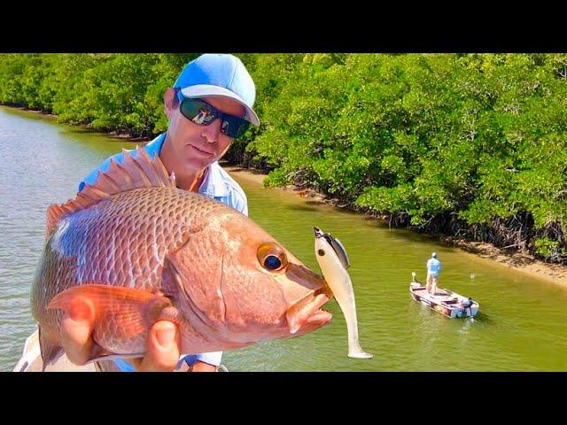 How To Catch Mangrove Jack All Day Long - Tips and Lure Choices