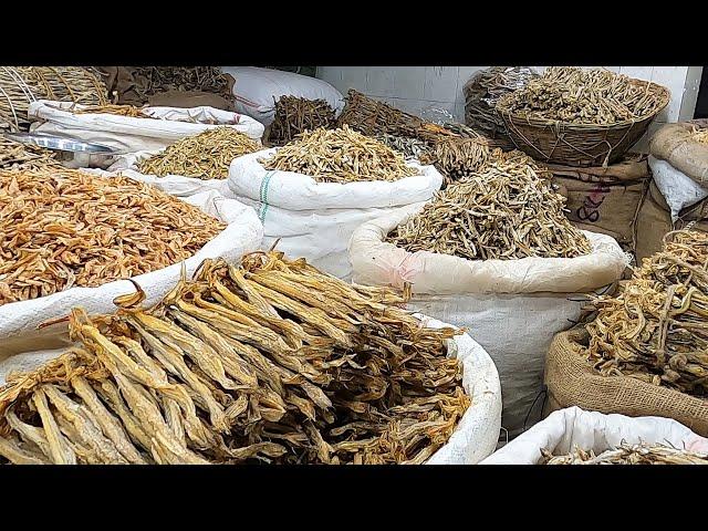 বাংলাদেশের সবচেয়ে বড় শুটকির আড়ৎ | dry fish wholesale market in dhaka