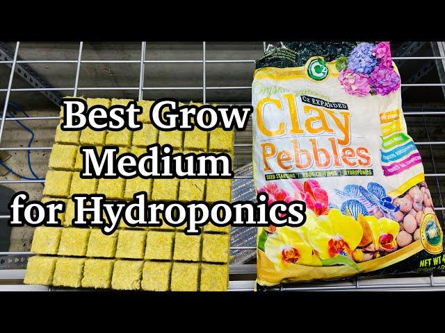 Best Growing Medium for Hydroponics