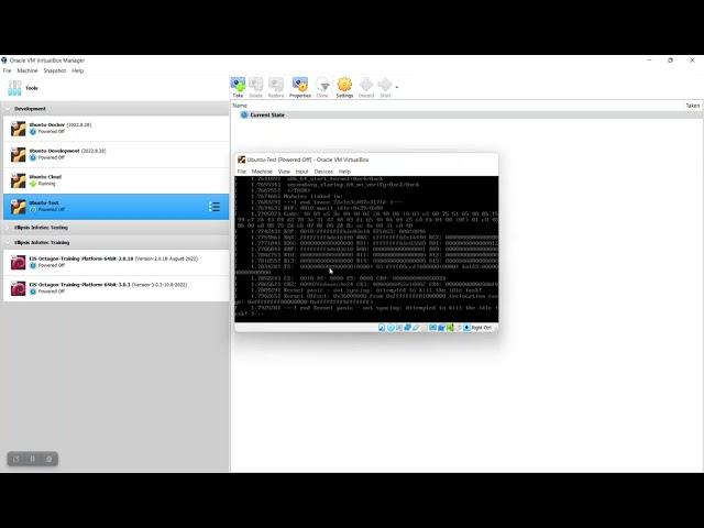 Solved: Kernel Panic Installing Ubuntu on VirtualBox