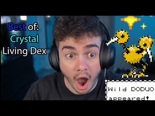 The Best Bits of Johnstone's Crystal Living Dex Challenge