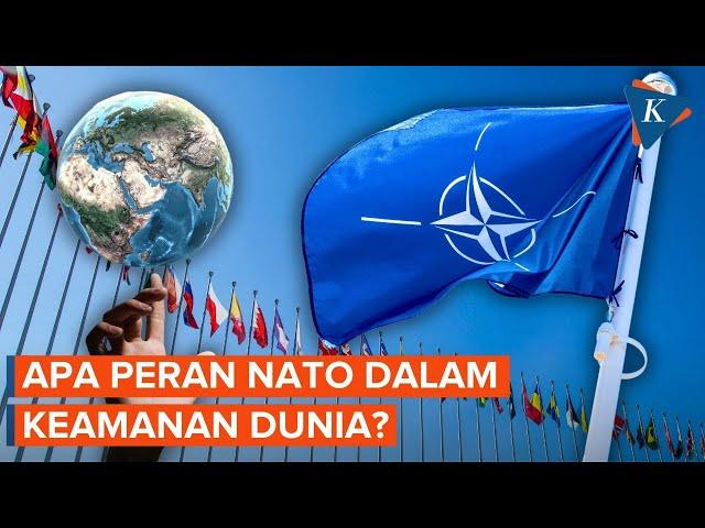 Apa itu NATO dan Siapa Saja Anggotanya?