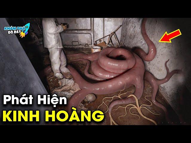 ️ Top 6 Phát Hiện Bí Ẩn Và Kỳ Lạ Nhất Khiến Các Nhà Khoa Học Cũng Phải Kinh Ngạc | Khám Phá Đó Đây