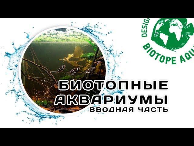 Биотопный аквариум. Вводная часть. Конкурс дизайна биотопных аквариумов. Biotope-aquarium