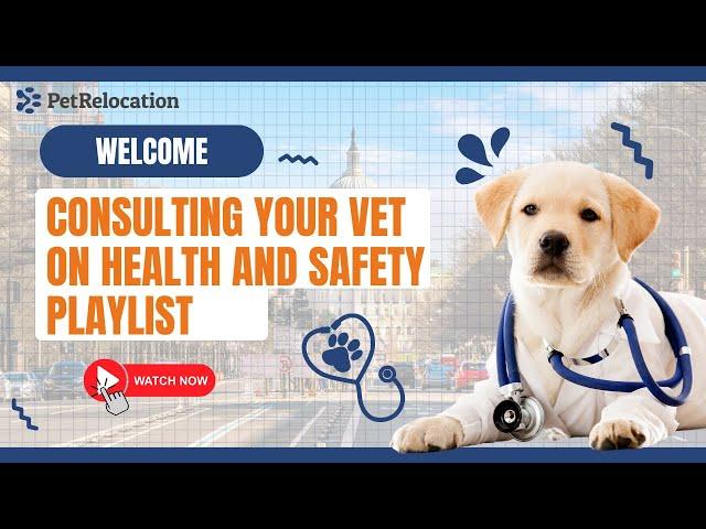 Welcome to Consulting with your Vet