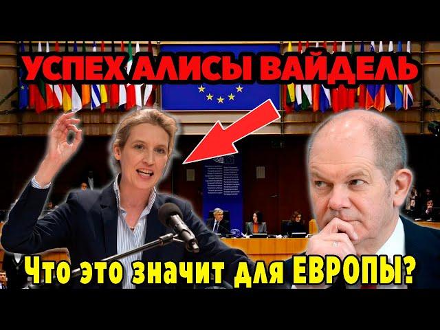 Как Алиса Вайдель перевернула политику Германии?! Немецкий канцлер: кто займет кресло в феврале?