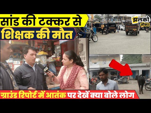 Khandela Bus Stand पर आवारा सांडों का आतंक, ground report में देखें क्या बोली जनता ~ Sikar News