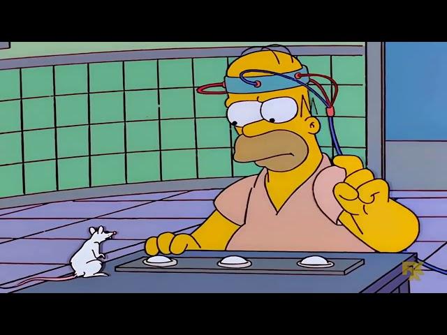 The Simpsons- Homer has a Crayon in his Brain