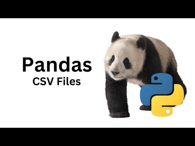 4 Pandas Read CSV