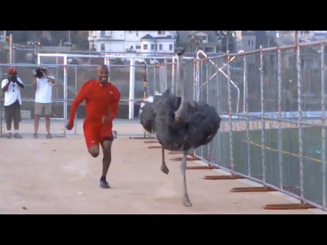 Human Vs Wild - Man races with Ostrich | Man Vs Ostrich