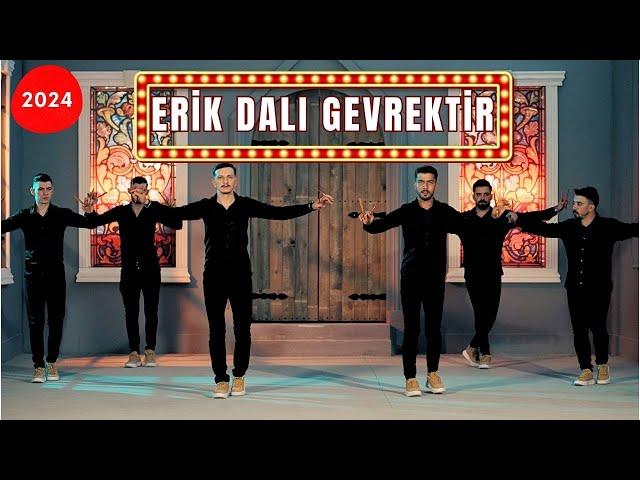 Aylin Demir - Erik Dalı Gevrektir - Oyun Havası