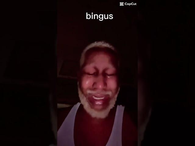 bingus part 2 #gemmy #funny #meme #bingus #cat #edit #laugh #now