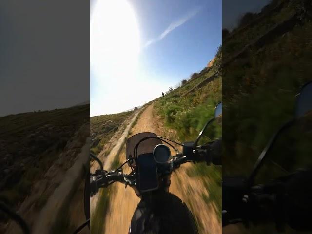 Ducati Scrambler playing with Honda Crf250's