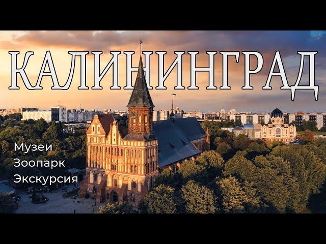 КАЛИНИНГРАД | Ч.1 | Что посмотреть | Экскурсии Музеи Места | #2024 #travel