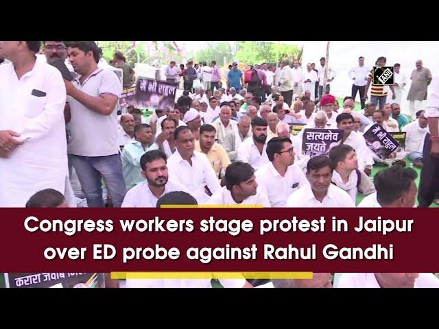 Congress workers stage protest in Jaipur over ED probe against Rahul Gandhi