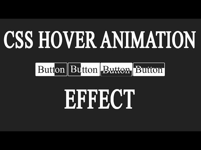 CSS Buttons With Awesome Hover Animation Using HTML & CSS Step by Step | Rizowan Ahmed Safi